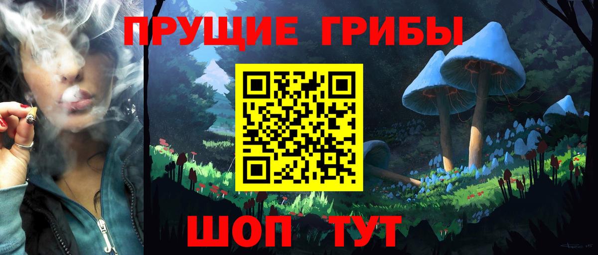 купить наркотик  Вход с VPN  Санкт-Петербург  Галлюциногенные грибы Psilocybine cubensis 